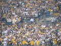 Terrible Towel Wave