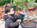 Christof the Tree Cutter