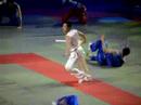 festival arts martiaux Bercy 2007
