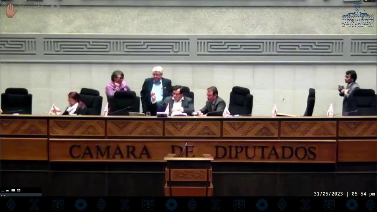 113a Sesión Ordinaria - 31/05/23