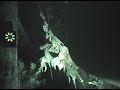 Dark Realm - Laser Rage @ Knott\