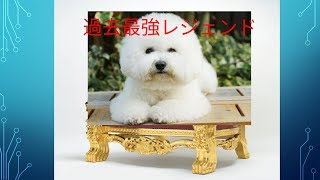 相談4737に関連する動画