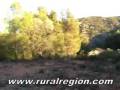 videos de VENTA FINCA RUSTICA EN CASTELLOTE - ABENFIGO