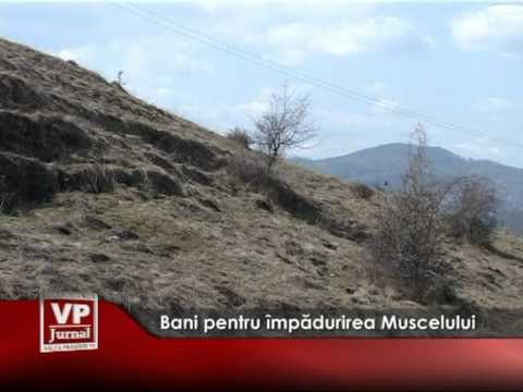 Bani pentru împădurirea Muscelului