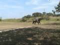 videos de DON POMPONIO DE ALEJANDRIA EN EL ENCANTO