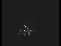 DJ Shadow - Organ Donor