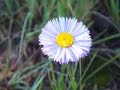 native American Flute/Amazing Grace relaxation Video by Mark Saylors &Steve Powers