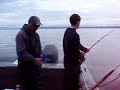 180 pound Alaskan Halibut Being Caught