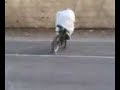 Fahrrad Burnout
