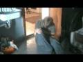 videos de WHISPER - You die (FULL MOVIE 6/6)