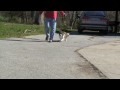 Levi 11-01-09