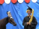 Snickers, the Educated Pony