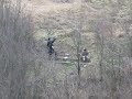 sziposok jarjak a kapszeres tancot az Ozd i hegyen sziposok jarjak a kapszeres tancot az Ozd i hegyen