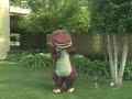 The Meteor That Wiped Out The Dinosaurs The Meteor That Wiped Out The Dinosaurs