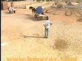 said nasiri said nasiri