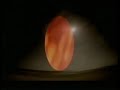Merz - \"Many Weathers Apart\"
