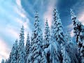 An incredible song by an independent band. Based out of Cambridge, England. The band's name is The Winter Kings. Enjoy. Lyrics: Hung across a grey sky, like red vein in tired eyes, And the sun shed itself on what was left of us there, As our bodies curved self-conscious... To carry the starry scars of our love, trampled underneath... All the untold histories that we keep Trampled underneath And you keep me trampled underneath You turn to me in the quiet To watch me tired, let you in and the waves watched you wander there, beneath my skin and the night and all its lies led me here to let you in So now as all rises, I want to hear what must be said Underneath the fires something must've bled And I crave a word to freeze us, and make this innocence last I crave a word... I want to hear that we crawled out over all the stones we cast I want to hear that we built something with all the stones we cast I want to hear that we hit something with all the stones we cast, I want to hear that we kept something that might last... A stone's throw away.