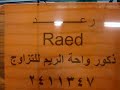 قطه للبيع شيرازي همالاي تزاوج قطط انثى ذكر www.3rabpet.com