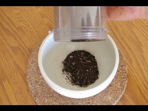 how to harvest dandelion root