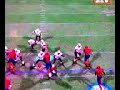 Flea Flicker this Flea Flicker this