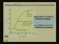 Lecture - 12 Myoglobin and Hemoglobin