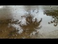 Reflections