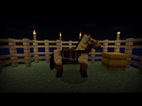 how to horse armor in minecraft