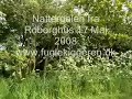 www.fuglekiggeren.dk