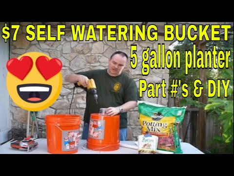 how to fertilize self watering containers