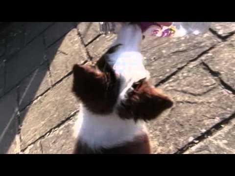 Retrieve a bottle over a wobble board