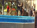 walibi