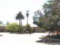 Stanford University - The Campus