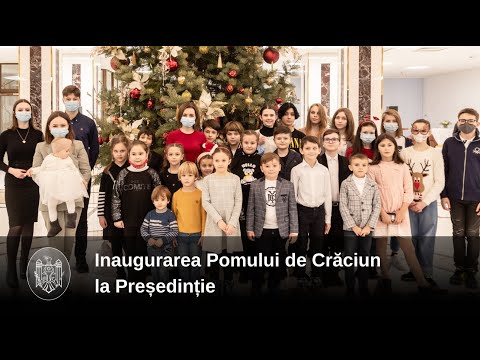 Președinția a inaugurat Pomul de Crăciun și deschide ușile pentru toți cei care doresc să-l vadă