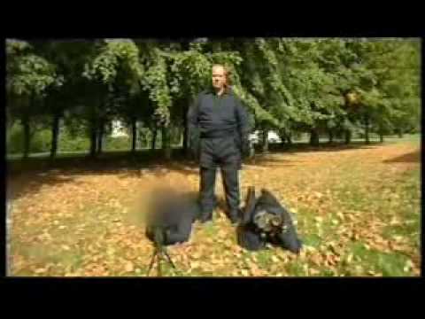 SAS Snipers
