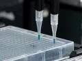 Diabetes Nerve Drug: ScienCentral News Video