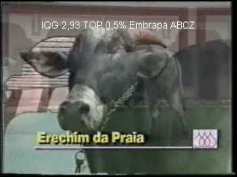 Erechim