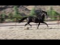 Quijote XIII - Libertad - 11062010