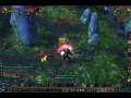 videos de 80 Rogue PVP neverender