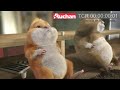 Auchan rekl�m-V�gatlan1