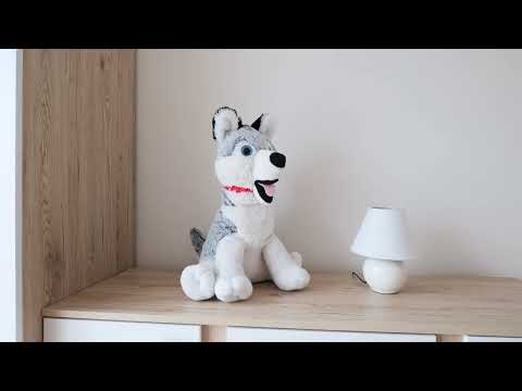 Video Prodej rodinného domu - Býkev