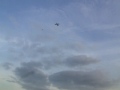 Typhoon 2 3D Hovering 1