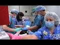 Baby Gorilla Goes to the Hospital Baby Gorilla Goes to the Hospital