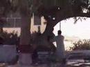 Iqbalians and Qasimians doing Masti