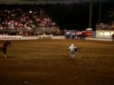 Lewiston Rodeo -- Calf Roping