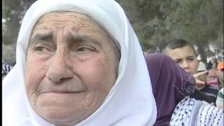 تقرير -مسيرة العودة في لوبية تلفزيون فلسطين تقرير -مسيرة العودة في لوبية تلفزيون فلسطين