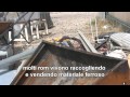 Il filo di Cloe