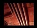 Cellar door