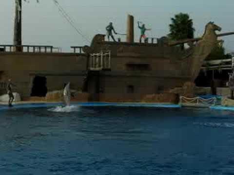 Imagen de previsualización de YouTube