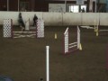 2009 Ridgefield nov Debbie Cedar STD2