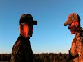 Blackhills Elk Blackhills Elk